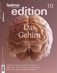 Produktbild: Spektrum edition Nr. 10 - Das Gehirn