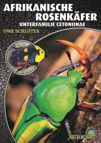 Produktbild: Afrikanische Rosenk&auml;fer