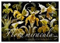 Produktbild: Flora miracula - Die wundersame Welt des Fotografen Olaf Bruhn (Wandkalender 2026 DIN A2 quer), CALVENDO Monatskalender