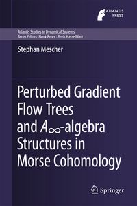 Produktbild: Perturbed Gradient Flow Trees and A&infin;-algebra Structures in Morse Cohomology