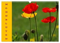 Produktbild: MOHNBL&Uuml;TEN (Wandkalender 2026 DIN A3 quer), CALVENDO Monatskalender