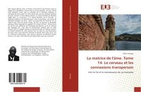Produktbild: La matrice de l'&acirc;me. Tome 14. Le cerveau et les connexions transperson
