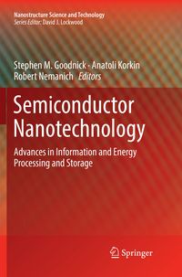 Produktbild: Semiconductor Nanotechnology