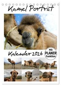 Produktbild: Kamel Portr&auml;t (Tischkalender 2026 DIN A5 hoch), CALVENDO Monatskalender