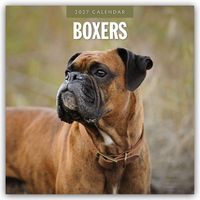 Produktbild: Boxers &ndash; Deutscher Boxer 2027 &ndash; 16-Monatskalender