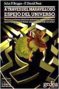 Produktbild: A trav&eacute;s del maravilloso espejo del universo