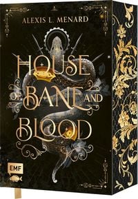Produktbild: House of Bane and Blood (Order and Chaos, Band 1) &ndash; Packende Rivals to Lovers Romantasy