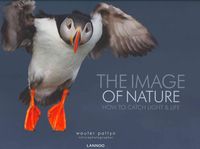 Produktbild: Pattyn, W: The Image of Nature