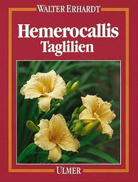 Produktbild: Hemerocallis