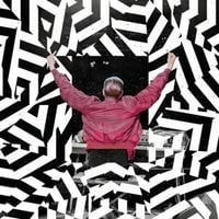 Produktbild: Das ist alles von der Kunstfreiheit gedeckt (Live)