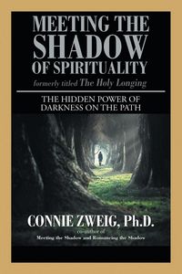 Produktbild: Zweig, P: Meeting the Shadow of Spirituality