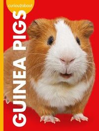 Produktbild: Curious about Guinea Pigs