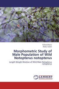 Produktbild: Morphometric Study of Male Population of Wild Notopterus notopterus