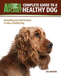 Produktbild: Comp Gt a Healthy Dog