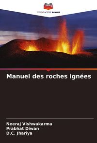 Produktbild: Manuel des roches ign&eacute;es