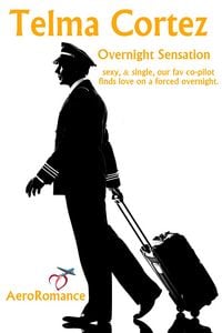 Produktbild: Overnight Sensation (AeroRomance Series, #2)