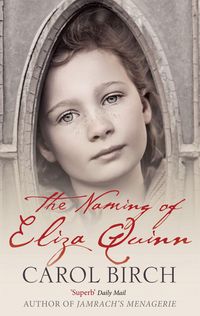 Produktbild: The Naming Of Eliza Quinn