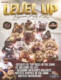 Produktbild: Level Up Magazine: Bully Edition Issue 4