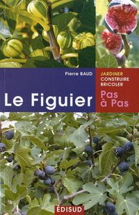 Produktbild: Figuier Le