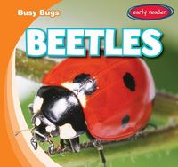 Produktbild: Busy Bugs Beetles