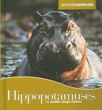 Produktbild: Hippopotamuses