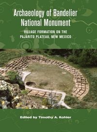 Produktbild: Archaeology of Bandelier National Monument