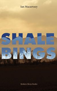 Produktbild: Shale Bings