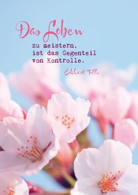 Bild vom Artikel Eckhart Tolle Postkarten "Das Leben" vom Autor Zintenz