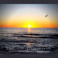 Produktbild: Niesamowita muzyka relaksacyjna z odgłosami i dźwiękami natury o częstotliwości 432 Hz