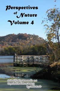 Produktbild: Perspectives of Nature Volume 4