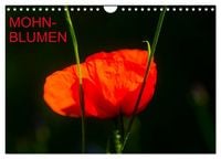 Produktbild: Mohnblumen (Wandkalender 2026 DIN A4 quer), CALVENDO Monatskalender