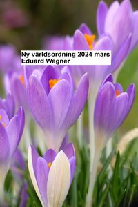 Produktbild: Ny v&auml;rldsordning - 2024 mars