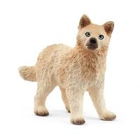 Produktbild: schleich&reg; Wild Life Polarwolf Welpe
