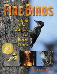 Produktbild: Fire Birds