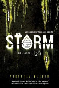 Produktbild: The Storm