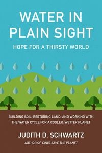 Produktbild: Water in Plain Sight