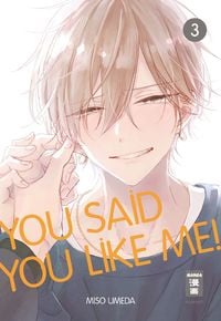 Produktbild: You Said You Like Me! 03