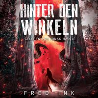 Produktbild: Hinter den Winkeln