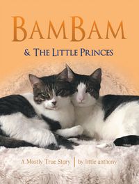 Produktbild: BamBam & The Little Princes