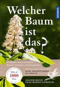 Bild vom Artikel Welcher Baum ist das? vom Autor Joachim Mayer