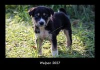 Produktbild: Welpen 2027 Fotokalender DIN A3