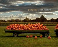 Produktbild: Pumpkins