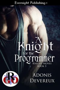 Produktbild: A Knight for the Programmer