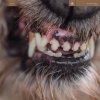 Produktbild: WORLD EATER (Ltd.Clear with Red Splatter Vinyl)