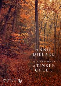 Produktbild: Pellegrinaggio al Tinker Creek