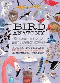 Produktbild: Bird Anatomy