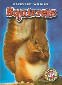 Produktbild: Squirrels