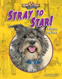 Produktbild: Stray to Star!