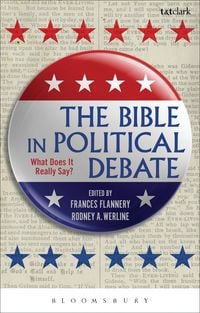 Produktbild: The Bible in Political Debate
