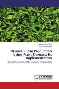 Produktbild: Nanocellulose Production Using Plant Biomass: Its Implementation